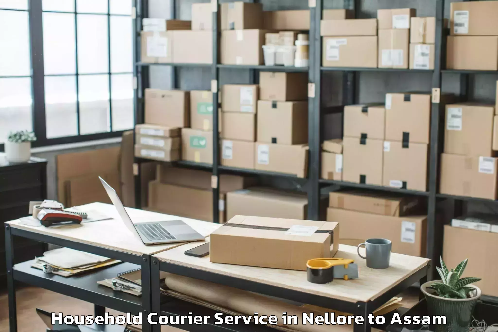 Hassle-Free Nellore to Barpeta Road Household Courier